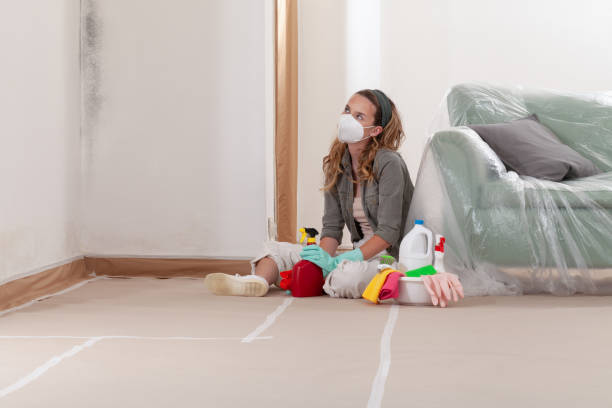 Reliable Mold Cleanup contractor in Jonestown, TX by Cheap Mold Removal